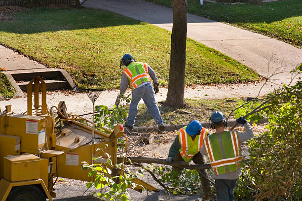 Mulching Services in Graton, CA